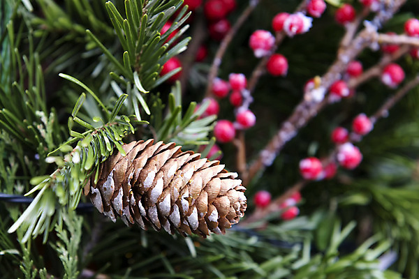 포토 JPG 해외이미지 모양 나무 전통 계절 유럽 크리스마스 겨울 비즈니스 공 독일 매달리기 사람없음 장식 초록색 산타클로스 판매 축하 소나무 그룹 시장 12월 심볼 오브젝트 원뿔 해외202004 해외포토 도형 식물 기념일 나라 컬러 컨셉 모션 날짜 파일형식 이미지허브