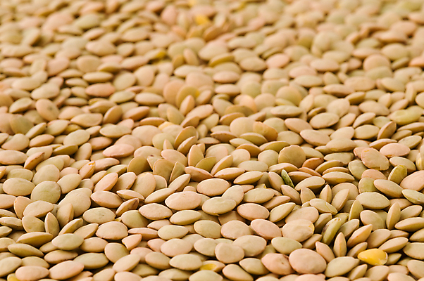 포토 JPG 해외이미지 식물 음식 백그라운드 농업 다이어트 채소 재료 자연 콩 건조 건강 식이요법 요리 씨앗 사람없음 식사 유기농 질감 날것 흙더미 내추럴 숙성 식용 채식주의자 해외202004 해외포토 웰빙 산업 곡류 흙 생태계 채식 파일형식 더미 이미지허브