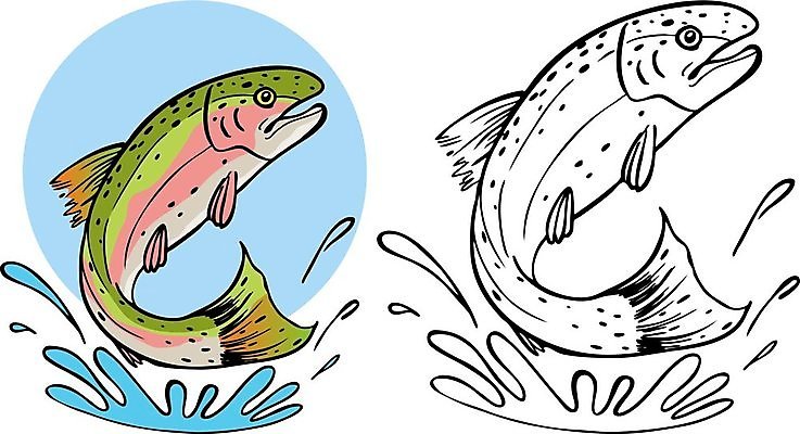 EPS 해외이미지 클립아트 디자인 호수 일러스트 낚시 저울 어류 미술 그래픽 장식 책 물 강 검은색 흰색 잡기 입 떨어짐 만화 눈금 낚시꾼 송어 엘리먼트 스플래쉬 해외202004 해외일러스트 자연요소 컬러 컨셉 모션 레저 문화예술 신체부위 수중동물 파일형식 벡터 이미지허브