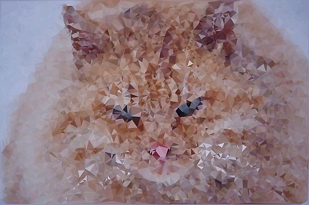 EPS 해외이미지 나무 동물 응시 계절 행복 크리스마스 겨울 오렌지 일러스트 포유류 휴가 새해 수염 주택 앉기 빨간색 파란색 반려동물 고양이 꿈 회색 흰색 행운 만화 혀 그림 솜털 생강 거짓말 고립 해외202004 해외일러스트 식물 시선 기념일 감정 컬러 컨셉 채소 과일 모션 건물 입 파일형식 벡터 이미지허브