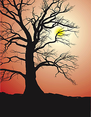 EPS 해외이미지 나무 1 계절 백그라운드 겨울 일러스트 자연 풍경 목재 우주 환경 검은색 힘 일몰 흰색 큼 멸종 잡동사니 내추럴 옛날 수평선 해외202004 해외일러스트 식물 컬러 재료 노을 크기 생태계 파일형식 벡터 이미지허브