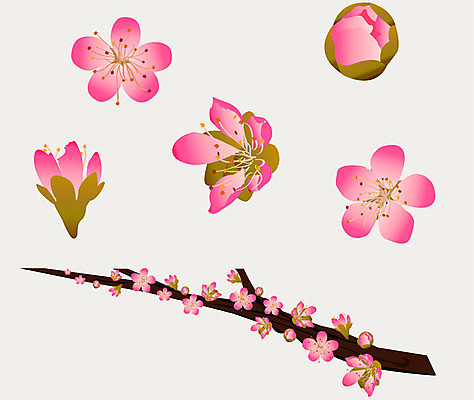 EPS 해외이미지 나무 계절 꽃잎 꽃 잎 꽃무늬 과일 일러스트 자연 미술 그래픽 봄 나뭇가지 복숭아 꽃가루 해외202004 해외일러스트 식물 무늬 문화예술 가루 생태계 파일형식 벡터 이미지허브