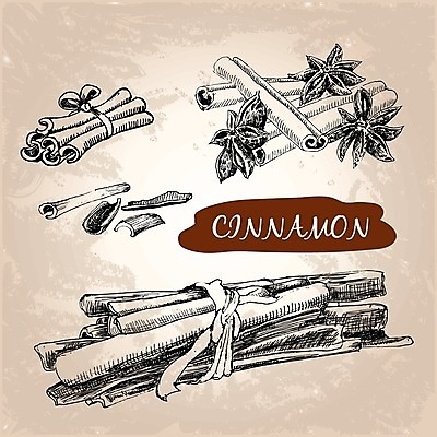 EPS 해외이미지 모양 디자인 음식 백그라운드 크리스마스 일러스트 재료 건조 건강 요리 미술 그래픽 장식 가로 세트 약 중국 축하 양념 그룹 맛 스케치 허브 향신료 그림 클립 향기 아로마 손그림 나무껍질 향 내추럴 고립 시나몬 엘리먼트 해외202004 해외일러스트 나무 식물 기념일 아시아 컨셉 의학 문화예술 껍질 냄새 향미료 파일형식 벡터 이미지허브
