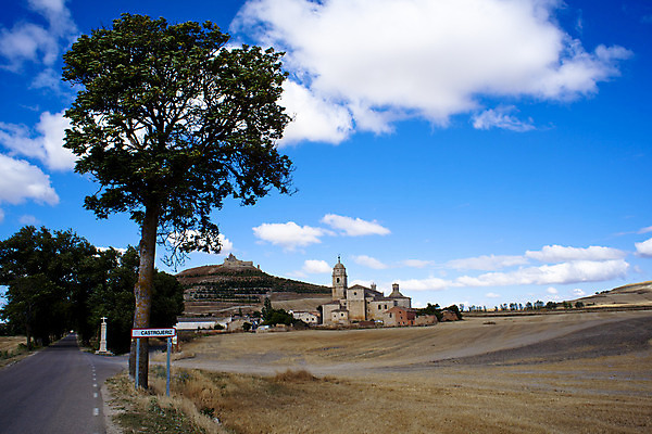 포토 JPG 해외이미지 나무 도로 농업 곡선 풍경 사람없음 교회 마을 도시 스페인 연결 사인 해외202004 해외포토 식물 유럽 산업 길 선 종교건축 교통시설 건물 파일형식 이미지허브