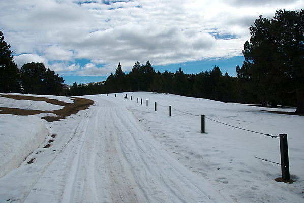 포토 JPG 해외이미지 나무 라이프스타일 계절 유럽 길 스포츠 여행 십자가 겨울 자국 자연 하늘 휴가 스키 산 건강 풍경 사람없음 야외 가로 파란색 운동 맑음 추위 흰색 숲 서리 스키선수 선로 안도라 눈내림 해외202004 해외포토 식물 나라 컬러 날씨 겨울스포츠 운동선수 눈_날씨 생활 생태계 파일형식 이미지허브