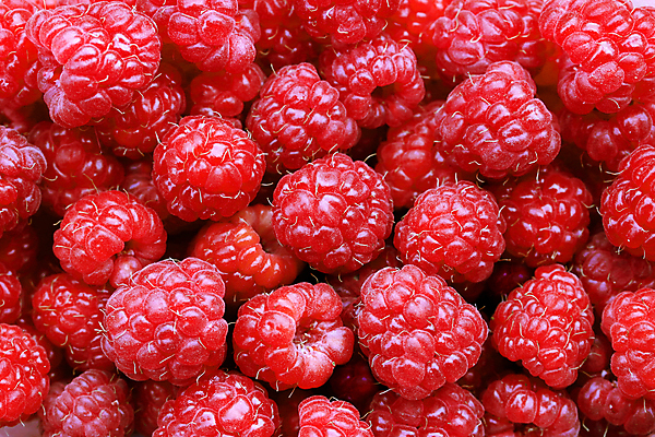 포토 JPG 해외이미지 열매 음식 백그라운드 다이어트 과일 재료 디저트 건강 사람없음 가로 빨간색 컬러풀 활발 신선 달콤 맛 유기농 질감 날것 산딸기 내추럴 숙성 채식주의자 많음 해외202004 해외포토 식물 웰빙 컬러 컨셉 채식 파일형식 이미지허브