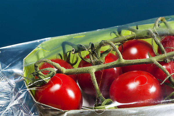 포토 JPG 해외이미지 식물 음식 백그라운드 잎 농업 다이어트 토마토 채소 과일 재료 포장 유리 건강 사람없음 빨간색 초록색 파란색 반사 식사 나뭇가지 신선 맛 컨테이너 플라스틱 다발 유기농 날것 팩 내추럴 고립 숙성 채식주의자 해외202004 해외포토 나무 웰빙 산업 컬러 컨셉 재질 화장품 채식 파일형식 이미지허브