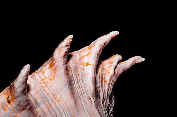 포토 JPG 해외이미지 선 파도 백그라운드 곡선 오렌지 사람없음 검은색 껍질 파편 큼 질감 내추럴 해외202004 해외포토 바다 컬러 과일 크기 파일형식 이미지허브