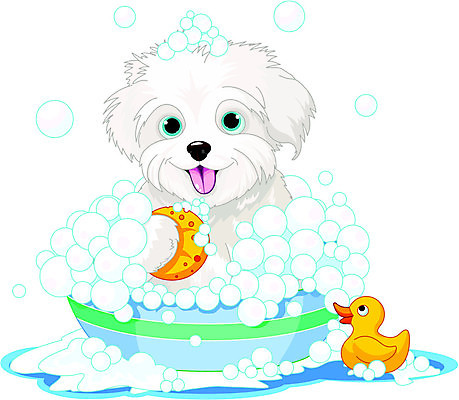 EPS 해외이미지 클립아트 동물 캐릭터 일러스트 포유류 오리 털 건강 미소 물 반려동물 목욕 거품 젖음 붓 개 강아지 위생 만화 모피 양동이 비누 솜털 고무 스펀지 볼로냐 위생관리 해외202004 해외일러스트 일러캐릭터 자연요소 조류 표정 관리 위생용품 청결 파일형식 벡터 이미지허브