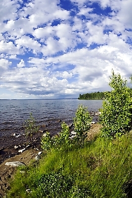 포토 JPG 해외이미지 나무 구름 계절 호수 파도 자연 하늘 표면 아침 날씨 따뜻함 풍경 사람없음 야외 목재 초록색 물 여름 파란색 빛 햇빛 태양 반사 환경 맑음 일몰 광선 흰색 시골 액체 숲 내추럴 수평선 그리너리 해외202004 해외포토 주간 자연요소 식물 바다 컬러 재료 노을 생태계 파일형식 트랜드컬러 이미지허브