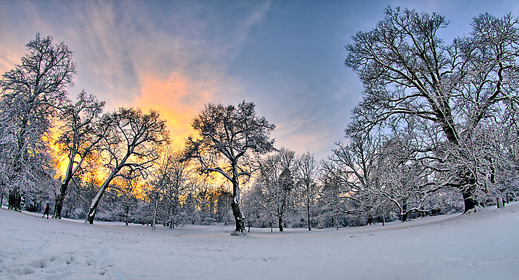 포토 JPG 해외이미지 나무 계절 공원 유럽 여행 백그라운드 겨울 자연 벽지 하늘 날씨 스키 핀란드 풍경 사람없음 야외 목재 파란색 빛 컬러풀 태양 냉동 얼음 일몰 놀람 추위 흰색 나뭇가지 숲 북극 서리 장면 북쪽 눈내림 해외202004 해외포토 자연요소 식물 공공시설 감정 나라 컬러 재료 겨울스포츠 눈_날씨 표정 북유럽 노을 극지방 방향 생태계 파일형식 이미지허브