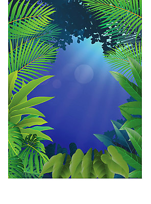 EPS 해외이미지 나무 식물 계절 꽃 야생동물 백그라운드 잎 일러스트 자연 아침 프레임 손바닥 풍경 야외 목재 초록색 여름 파란색 태양 환경 봄 야간 숲 신비 열대우림 천국 내추럴 아마존 히비스커스 해외202004 해외일러스트 주간 자연요소 동물 손 컬러 컨셉 재료 생태계 파일형식 벡터 이미지허브