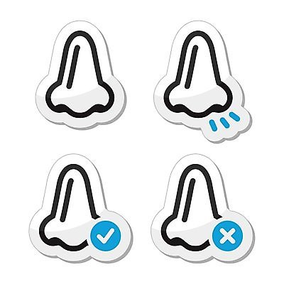 EPS 해외이미지 클립아트 모양 디자인 얼굴 선 과학 스티커 신체 일러스트 부분 해부 자연 건강 사람 성인 파란색 세트 픽토그램 약 라벨 검은색 흰색 업무 감각 오르간 캔 호흡 만화 심볼 사인 코 생물학 냄새 윤곽 고립 돌봄 엘리먼트 타격 해외202004 해외일러스트 교육 컬러 의학 모션 프레임 신체부위 작업 건반악기 생태계 파일형식 벡터 이미지허브