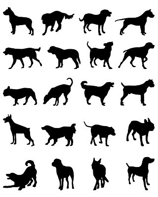 EPS 해외이미지 모양 디자인 실루엣 포즈 컨셉 일러스트 뼈 미술 서기 반려동물 세트 검은색 스패니얼 사발 개 리트리버 강아지 위험 자르기 테리어 래브라도리트리버 수집 사인 푸들 윤곽 불독 고립 달마시안 해외202004 해외일러스트 동물 컬러 포유류 모션 문화예술 촬영기법 사기그릇 파일형식 벡터 이미지허브