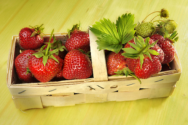 포토 JPG 해외이미지 열매 음식 과일 딸기 디저트 사람없음 빨간색 여름 바구니 신선 시장 날것 해외202004 해외포토 식물 계절 컬러 파일형식 이미지허브