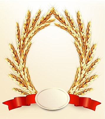 EPS 해외이미지 식물 템플릿 라이프스타일 디자인 계절 리본 음식 빵 줄기 백그라운드 잎 패턴 밭 농업 일러스트 자연 맥주 건강 씨앗 빨간색 여름 농작물 노란색 라벨 수확 성장 흰색 농부 낟알 시리얼 밀 굽기 수집 오브젝트 보리 귀 밀짚 고립 숙성 엘리먼트 해외202004 해외일러스트 직업 산업 컬러 무늬 곡류 프레임 주류 생활 신체부위 짚 구이 생태계 파일형식 벡터 이미지허브