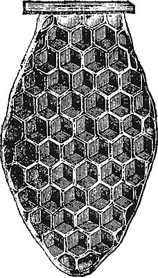 EPS 해외이미지 모양 일러스트 매달리기 미술 검은색 수확 골동품 흰색 머리빗 역사 둥지 그림 치수 육각형 판화 벌집 밀랍 옛날 왁스 해외202004 해외일러스트 도형 컬러 농업 모션 문화예술 미용용품 파일형식 벡터 이미지허브