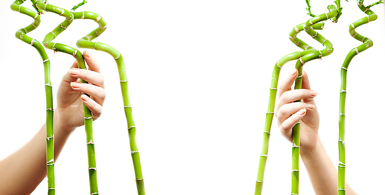 포토 JPG 해외이미지 나무 백인 템플릿 손 배너 여자 포스터 아시아 선 백그라운드 잎 패턴 텍스트 손가락 자연 프레임 광고판 건강 한명 사람 성인 목재 장식 초록색 우주 중국 우정 터치 정보 흰색 신선 메시지 닫기 숲 대나무 팔 내추럴 고립 돌봄 완벽 해외202004 해외포토 서양인 식물 1 나라 컬러 컨셉 무늬 재료 모션 알림판 신체부위 친구 생태계 판 파일형식 이미지허브