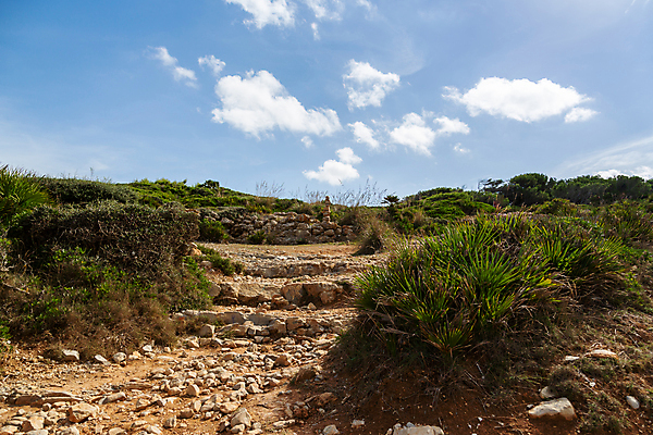 포토 JPG 해외이미지 나무 계절 공원 유럽 야생동물 바다 여행 백그라운드 자연 하늘 날씨 휴가 휴식 산 풍경 사람없음 야외 초록색 물 여름 파란색 스페인 지중해 내추럴 스페인어 해외202004 해외포토 자연요소 식물 동물 공공시설 나라 컬러 컨셉 생태계 파일형식 이미지허브