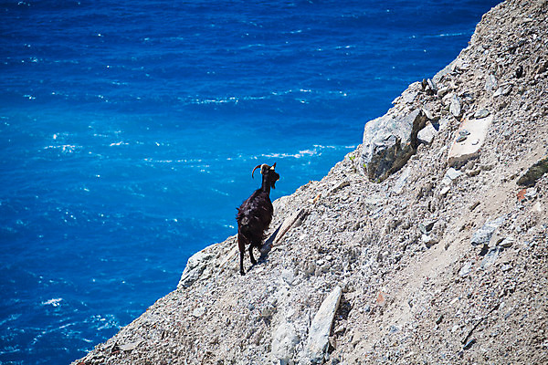 포토 JPG 해외이미지 유럽 섬 여행 자국 자연 하늘 산 풍경 사람없음 야외 초록색 파란색 걷기 계곡 프랑스 오솔길 지중해 언덕 내추럴 프랑스어 코르시카 해외202004 해외포토 문자 나라 길 바다 컬러 모션 생태계 파일형식 이미지허브