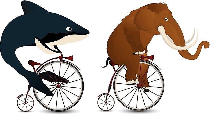 EPS 해외이미지 캐릭터 디자인 스포츠 컨셉 2 일러스트 미술 경사 그래픽 자전거 에너지 수확 흰색 바퀴 유머 클래식 승차 큼 만화 고래 그림 코믹 멸종위기동물 매머드 고립 해외202004 해외일러스트 일러캐릭터 동물 감정 컬러 농업 포유류 모션 문화예술 바이크 수중동물 크기 파일형식 벡터 멸종위기종 이미지허브