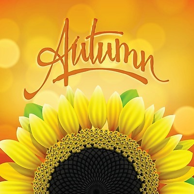 EPS 해외이미지 식물 디자인 배너 계절 꽃잎 꽃 행복 포스터 문화 백그라운드 꽃무늬 농업 오렌지 일러스트 텍스트 자연 추상 해바라기 미술 씨앗 햇빛 태양 노란색 세일 정원 맑음 공백 활발 성장 벚꽃 가을 원형 메시지 황금 소프트포커스 그림 보케 긍정 10월 내추럴 핸드메이드 해외202004 해외일러스트 자연요소 도형 감정 산업 컬러 컨셉 무늬 과일 날씨 문화예술 촬영기법 날짜 생태계 파일형식 벡터 이미지허브