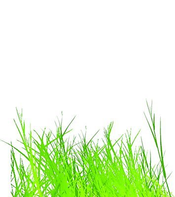 EPS 해외이미지 식물 계절 꽃 실루엣 잎 꽃무늬 패턴 밭 일러스트 자연 하늘 바람 날씨 풍경 잔디 야외 그래픽 초록색 여름 우주 정원 봄 성장 흰색 시골 그림 원예 장면 솜털 내추럴 고립 평야 수평선 해외202004 해외일러스트 자연요소 컬러 무늬 농업 촬영기법 취미 생태계 파일형식 벡터 이미지허브