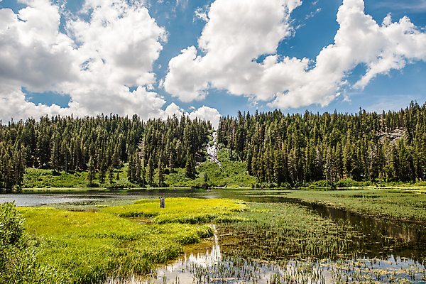 포토 JPG 해외이미지 나무 호수 여행 자연 휴가 산 풍경 사람없음 야외 초록색 물 여름 폭포 하이킹 소나무 숲 쌍둥이 캘리포니아 멸종위기동물 내추럴 매머드 해외202004 해외포토 자연요소 식물 동물 계절 컬러 가족 레저 미국 생태계 파일형식 멸종위기종 이미지허브