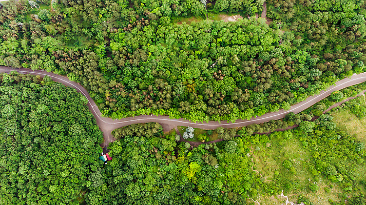 포토 JPG 해외이미지 나무 계절 도로 여행 백그라운드 자연 조류 추상 산 안테나 미술 풍경 사람없음 야외 여름 봄 소나무 정상 숲 제비 내추럴 드론 해외202004 해외포토 식물 동물 길 무늬 통신 교통시설 문화예술 생태계 파일형식 이미지허브