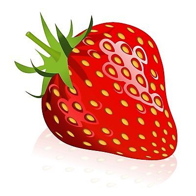 EPS 해외이미지 클립아트 음식 과일 일러스트 재료 딸기 빨간색 흰색 해외202004 해외일러스트 컬러 파일형식 벡터 이미지허브