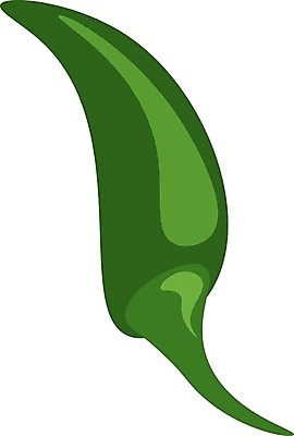 EPS 해외이미지 식물 음식 채소 일러스트 재료 고추 불 멕시코 파프리카 건강 요리 초록색 주방 신선 뜨거움 맛 향신료 그림 유기농 매움 레시피 후추 숙성 채식주의자 할라피뇨 해외202004 해외일러스트 자연요소 웰빙 컬러 컨셉 북아메리카 채식 향미료 파일형식 벡터 아메리카 양념 대륙 이미지허브