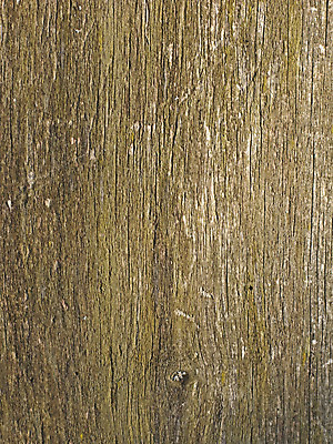 포토 JPG 해외이미지 접시 백그라운드 패턴 부분 날씨 추상 사람없음 목재 울타리 어둠 회색 젖음 시골 소나무 점 거친 균열 널 질감 매듭 목공예 판 내추럴 명패 수목 옛날 해외202004 해외포토 나무 식기 컬러 무늬 재료 모션 담장 공예 파일형식 이미지허브