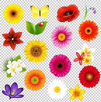 EPS 해외이미지 손 배너 꽃 리본 나비 결혼 백그라운드 꽃무늬 일러스트 해바라기 프레임 발렌타인데이 장식 초록색 여름 세일 여러개 봄 벚꽃 종 인사 신용카드 개화 오브젝트 데이지 무당벌레 테이프 거베라 뼈대 내추럴 캐모마일 어머니의날 해외202004 해외일러스트 식물 계절 기념일 컬러 다수 곤충 무늬 데이이벤트 문구용품 이벤트 신체부위 금융 예절 허브 미국문화 파일형식 벡터 이미지허브