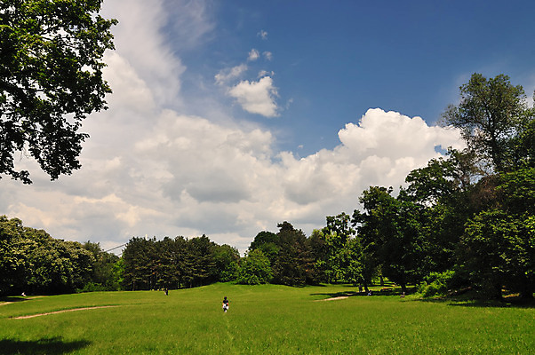 포토 JPG 해외이미지 나무 구름 라이프스타일 공원 여행 밭 자연 하늘 휴가 휴식 건강 사람 풍경 성인 사람없음 야외 목재 초록색 여름 여행객 걷기 환경 봄 산책 트래킹 하이킹 신선 숲 단절 하이커 해외202004 해외포토 자연요소 식물 계절 공공시설 컬러 컨셉 농업 재료 모션 레저 생활 생태계 파일형식 이미지허브