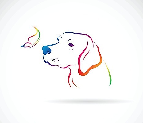 EPS 해외이미지 나비 일러스트 사람없음 컬러풀 개 강아지 래브라도리트리버 해외202004 해외일러스트 컬러 곤충 포유류 반려동물 리트리버 파일형식 벡터 이미지허브