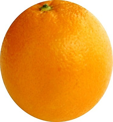 EPS 해외이미지 디자인 음식 조각 백그라운드 패턴 다이어트 오렌지 과일 일러스트 자연 날씨 추상 귤 건강 빨간색 노란색 페인트 주스 수확 흰색 신선 원형 거친 맛 낟알 자르기 묘사 유기농 질감 복고 날것 시멘트 스크래치 내추럴 고립 석고 숙성 스크랩북 옛날 채식주의자 해외202004 해외일러스트 도형 웰빙 음료 컬러 컨셉 무늬 농업 모션 생태계 채식 파일형식 벡터 이미지허브