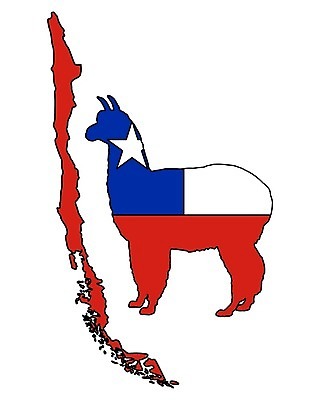 EPS 해외이미지 동물 배너 실루엣 별 백그라운드 일러스트 포유류 빨간색 파란색 미국 흰색 깃발 심볼 사인 낙타 칠레 남쪽 고립 동물상 알파카 전국 해외202004 해외일러스트 자연요소 컬러 북아메리카 촬영기법 조형물 남아메리카 방향 파일형식 벡터 이미지허브