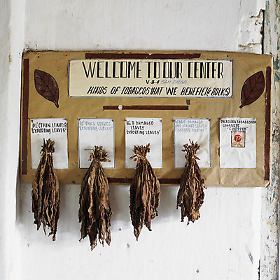 포토 JPG 해외이미지 잎 건조 담배 실내 사람없음 내부 인테리어 미국 중앙아메리카 라틴아메리카 모음 쿠바 서인도제도 해외202004 해외포토 식물 디자인 북아메리카 아메리카 한글 파일형식 이미지허브