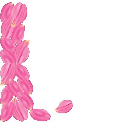 EPS 해외이미지 식물 템플릿 디자인 계절 기념일 꽃잎 꽃 분홍색 결혼 백그라운드 꽃무늬 일러스트 자연 추상 발렌타인데이 사랑 그래픽 장식 여름 빛 세트 컬러풀 장미 봄 벚꽃 흰색 하트 축하 신선 신용카드 개화 떨어짐 부드러움 고립 현실 해외202004 해외일러스트 모양 감정 컬러 컨셉 무늬 데이이벤트 이벤트 금융 감각 생태계 파일형식 벡터 이미지허브