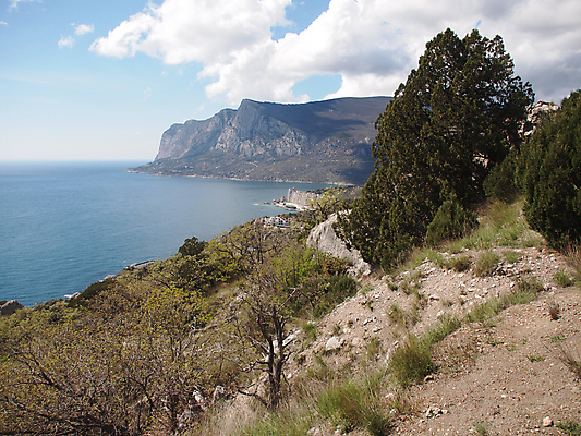 포토 JPG 해외이미지 나무 식물 구름 계절 야생동물 파도 바다 여행 자연 하늘 날씨 산 풍경 사람없음 야외 초록색 물 여름 파란색 빛 태양 여행객 침묵 봄 바위 소나무 만 언덕 휴양지 장면 침엽수 넘어짐 우크라이나 수평선 해외202004 해외포토 자연요소 동물 유럽 컬러 모션 사람 소리 장소 돌_바위 생태계 파일형식 이미지허브