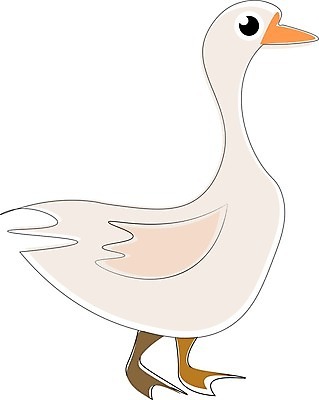 EPS 해외이미지 동물 분홍색 날개 일러스트 자연 조류 오리 농장 흰색 연못 깃털 그림 부리 목 거위 해외202004 해외일러스트 컬러 농업 신체부위 생태계 파일형식 벡터 산업 사람 이미지허브