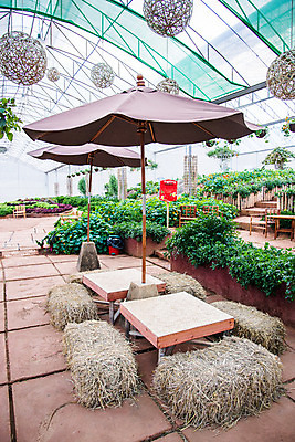 포토 JPG 해외이미지 나무 식물 디자인 외관 계절 공원 꽃 길 잎 벤치 의자 태국 자연 휴가 휴식 풍경 사람없음 야외 목재 장식 초록색 여름 갈색 평화 정원 봄 시골 내추럴 해외202004 해외포토 공공시설 아시아 컬러 가구 컨셉 재료 생태계 파일형식 이미지허브