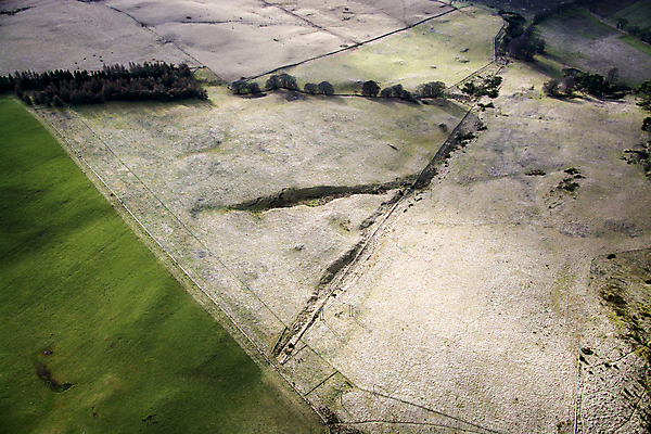 포토 JPG 해외이미지 나무 도로 겨울 밭 자연 거리 그림자 풍경 사람없음 2월 방법 해외202004 해외포토 식물 계절 길 농업 교통시설 날짜 생태계 파일형식 이미지허브