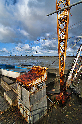 포토 JPG 해외이미지 물결 파도 바다 여행 자연 조류 하늘 바람 날씨 풍경 사람없음 야외 물 관광지 이탈리아 젖음 위험 폭풍 흐림 토스카나 스플래쉬 수평선 해외202004 해외포토 자연요소 동물 유럽 컨셉 생태계 파일형식 이미지허브