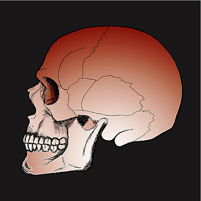 EPS 해외이미지 디자인 일러스트 해부 뼈 골격 미술 머리 검은색 어둠 할로윈 죽음 거친 치아 위험 무서움 스케치 심볼 그림 나쁜 불법복제 해골모형 호러 해외202004 해외일러스트 감정 컬러 컨셉 의학 문화예술 신체부위 모형 소화기관 공포 파일형식 벡터 이미지허브