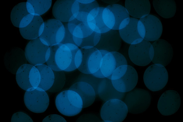 포토 JPG 해외이미지 모양 디자인 백그라운드 추상 사람없음 장식 반짝임 컬러풀 축하 원형 입자 소프트포커스 보케 블러 카피스페이스 효과 해외202004 해외포토 도형 컬러 컨셉 무늬 모션 촬영기법 공백 파일형식 이미지허브