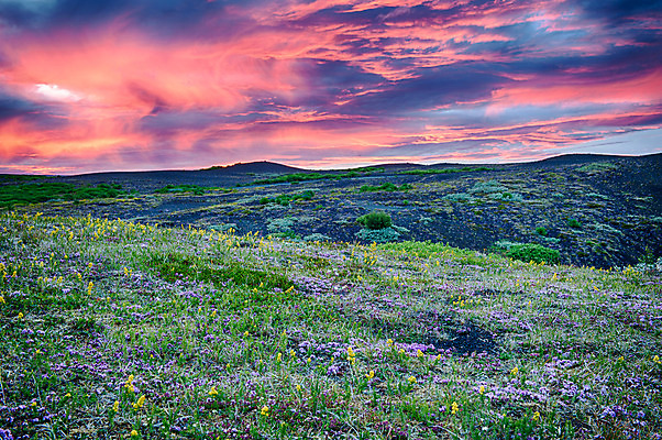 포토 JPG 해외이미지 구름 꽃 분홍색 백그라운드 밭 오렌지 하늘 아이슬란드 풍경 사람없음 빨간색 햇빛 일출 황혼 일몰 봄 새벽 활발 벚꽃 야간 저녁 화산 강렬 스칸디나비아 해외202004 해외포토 자연요소 식물 계절 유럽 컬러 컨셉 농업 과일 산 태양 노을 파일형식 이미지허브