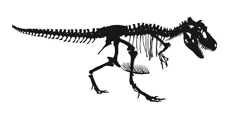 EPS 해외이미지 모양 동물 디자인 실루엣 과학 신체 일러스트 파충류 뼈 골격 그림자 서기 그래픽 검은색 산책 흰색 플랫 큼 공룡 박물관 윤곽 육식동물 화석 고생물 멸종 선사시대 T 고고학 고립 몬스터 해골모형 쥬라기 해외202004 해외일러스트 알파벳 교육 컬러 모션 휴식 생물 촬영기법 모형 역사 크기 파일형식 벡터 이미지허브