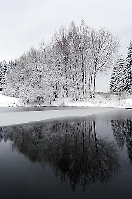포토 JPG 해외이미지 나무 호수 겨울 자연 날씨 풍경 사람없음 물 반사 얼음 침묵 고요 추위 흰색 나뭇가지 서리 벌거벗은 눈내림 겨울풍경 해외202004 해외포토 자연요소 식물 계절 컬러 눈_날씨 소리 생태계 파일형식 이미지허브