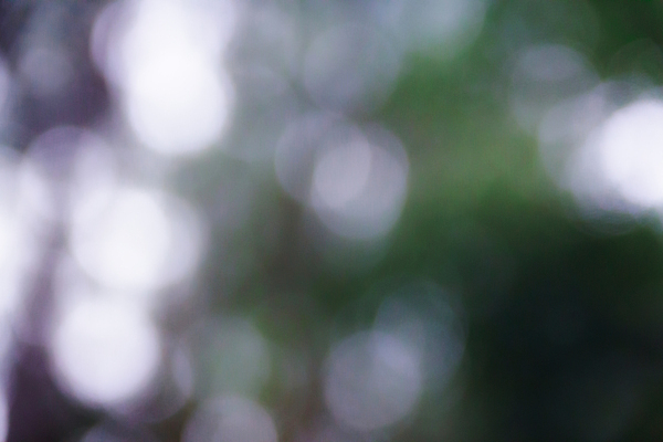 포토 JPG 해외이미지 백그라운드 크리스마스 패턴 추상 휴가 미술 사람없음 빛 컬러풀 노란색 파티 우주 검은색 흰색 화려 황금 야간 소프트포커스 질감 보케 먼지 블러 효과 해외202004 해외포토 자연요소 기념일 컬러 컨셉 무늬 문화예술 촬영기법 이벤트 파일형식 이미지허브